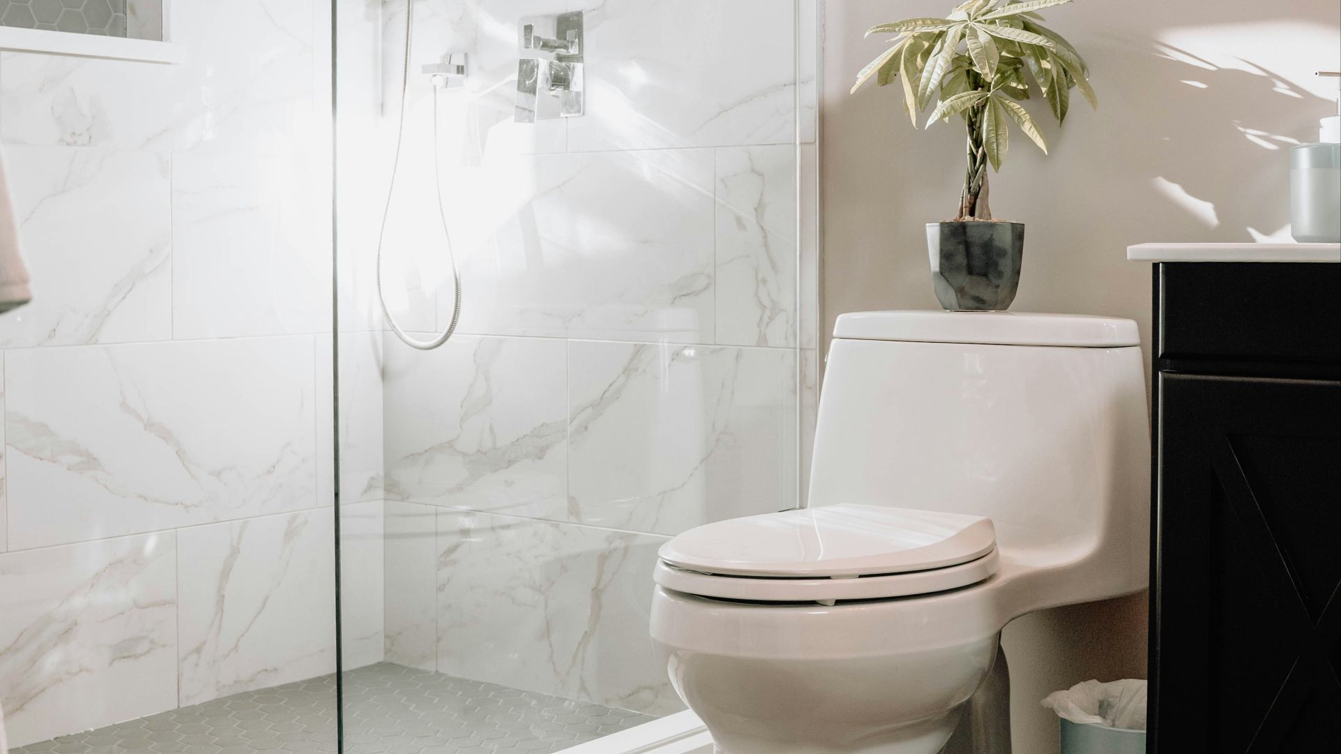 white ceramic toilet bowl beside white ceramic toilet bowl