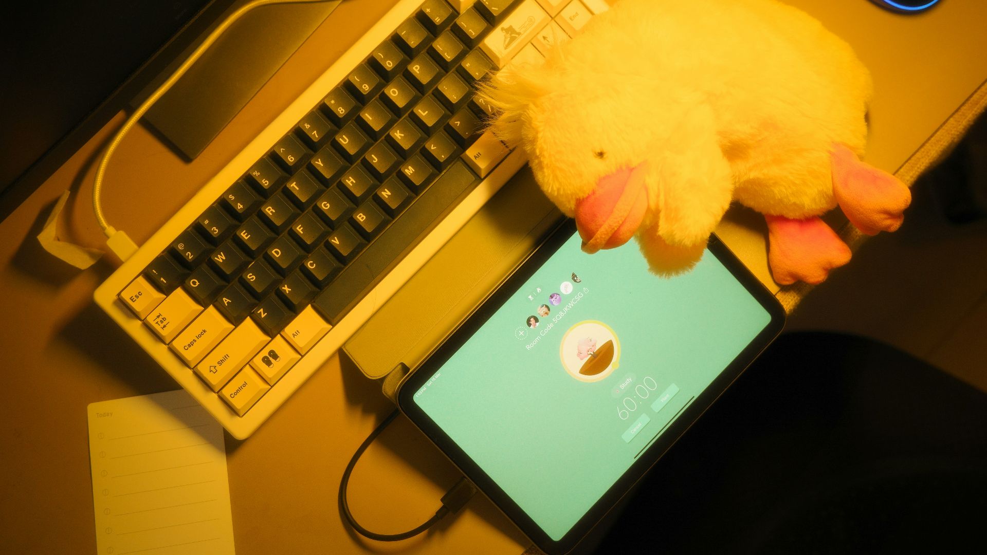 A keyboard, tablet, and plush duck.