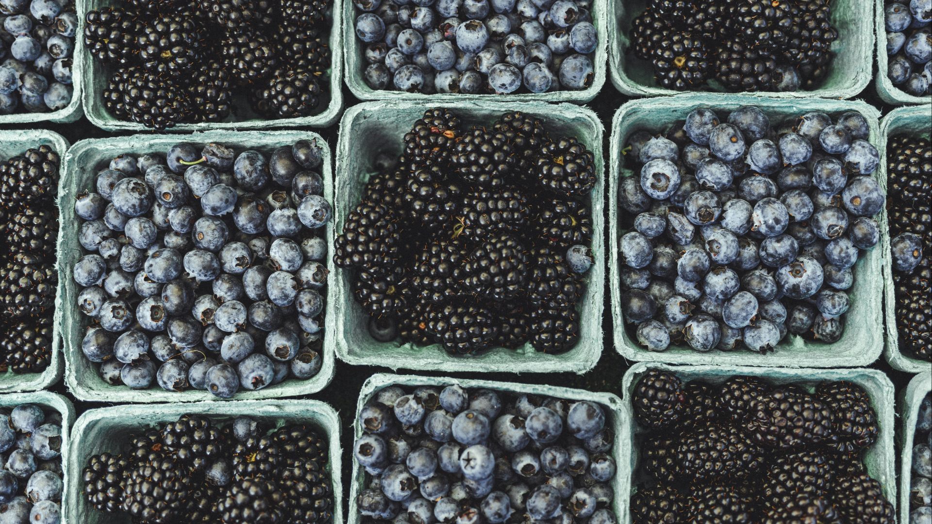 black berries on black surface