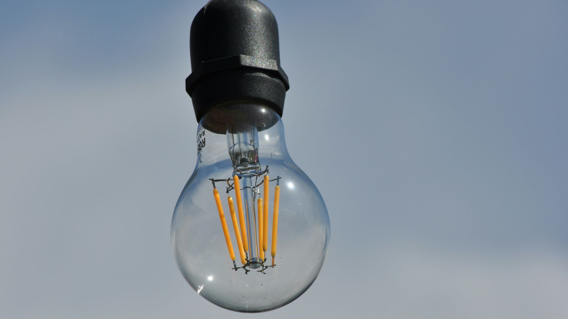 black and clear glass light bulb