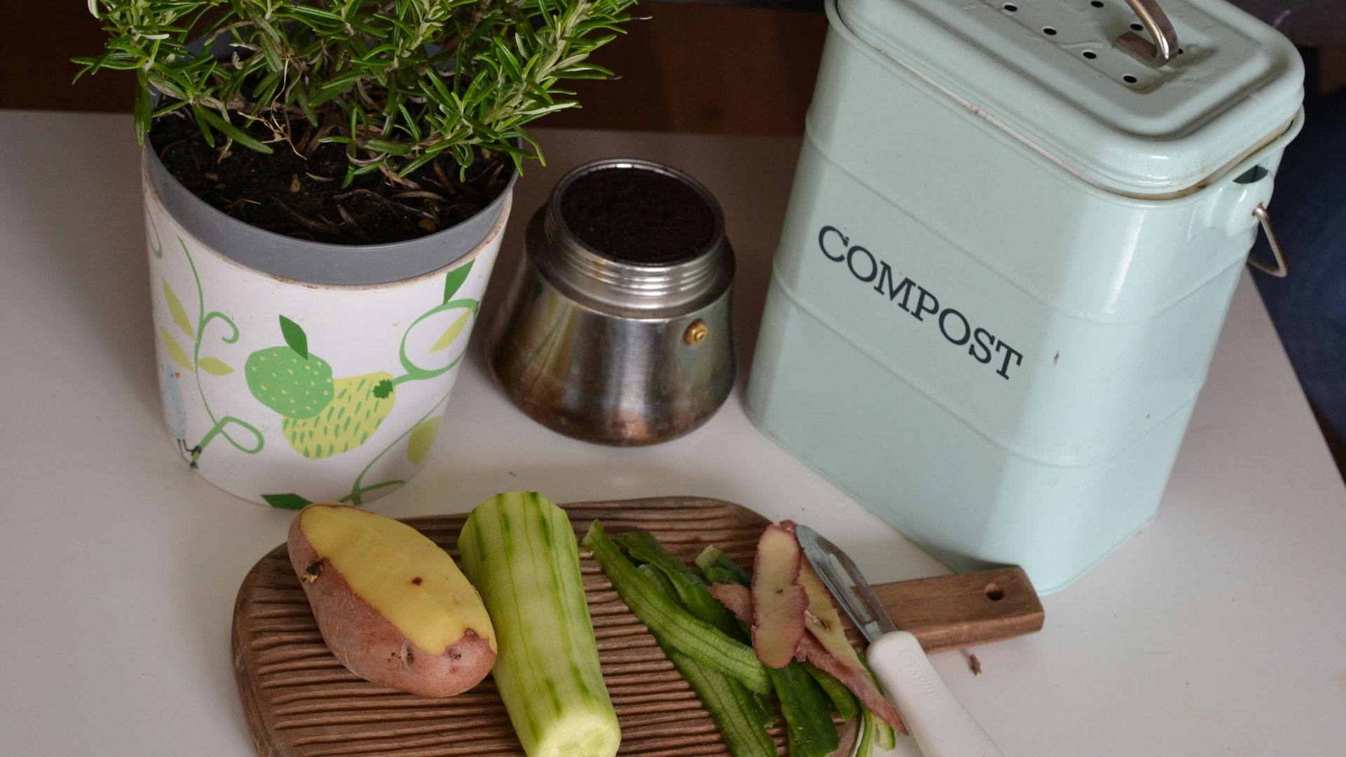 green plant on white and purple floral ceramic pot