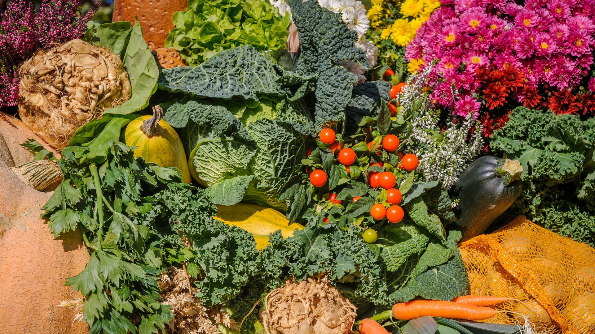 variety of vegetables