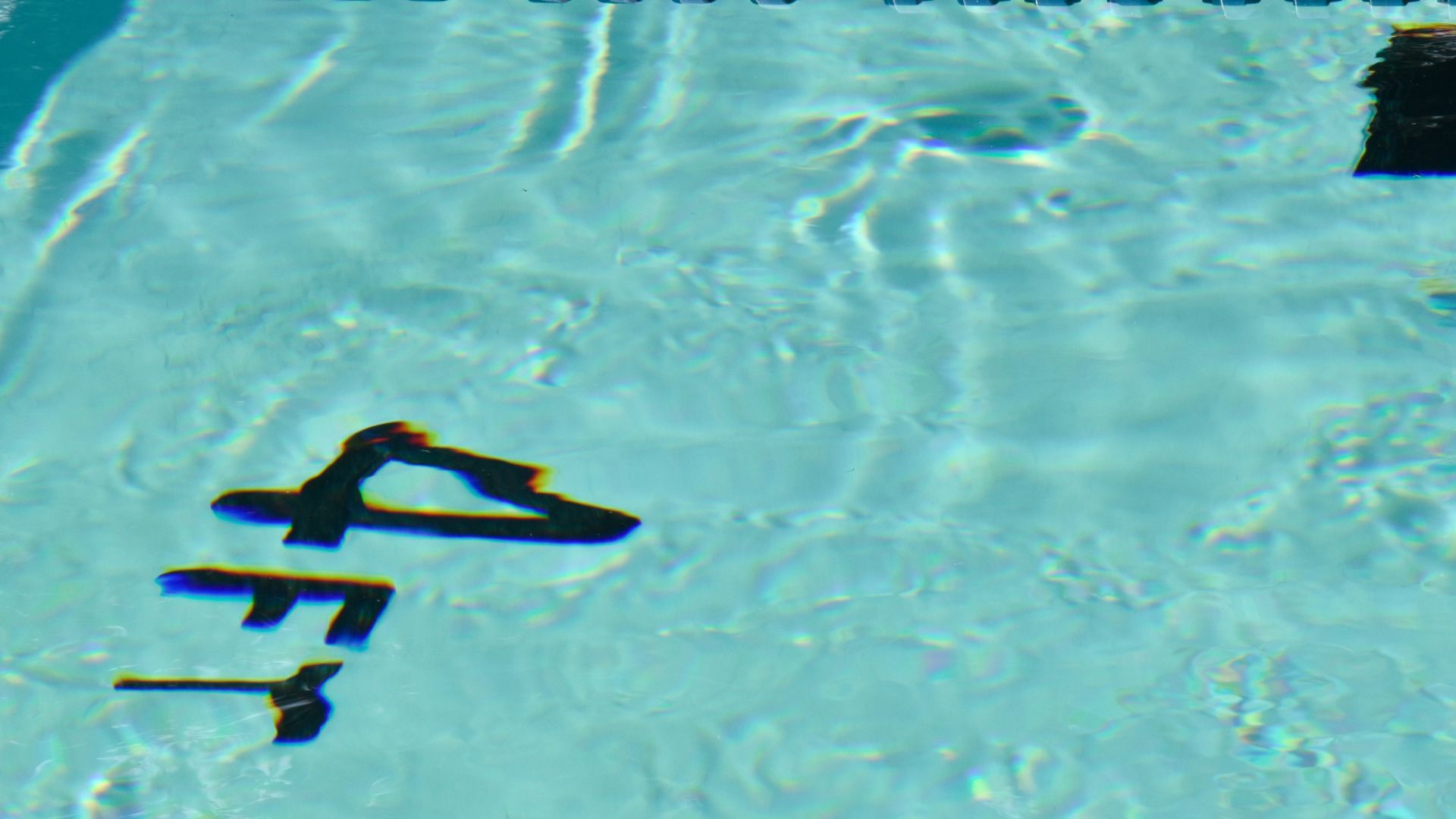 person in blue and white shorts swimming on water
