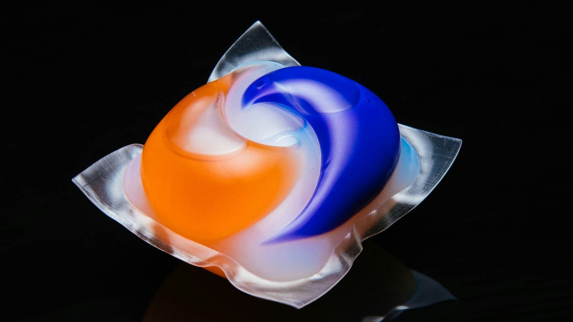 blue and white rose flower