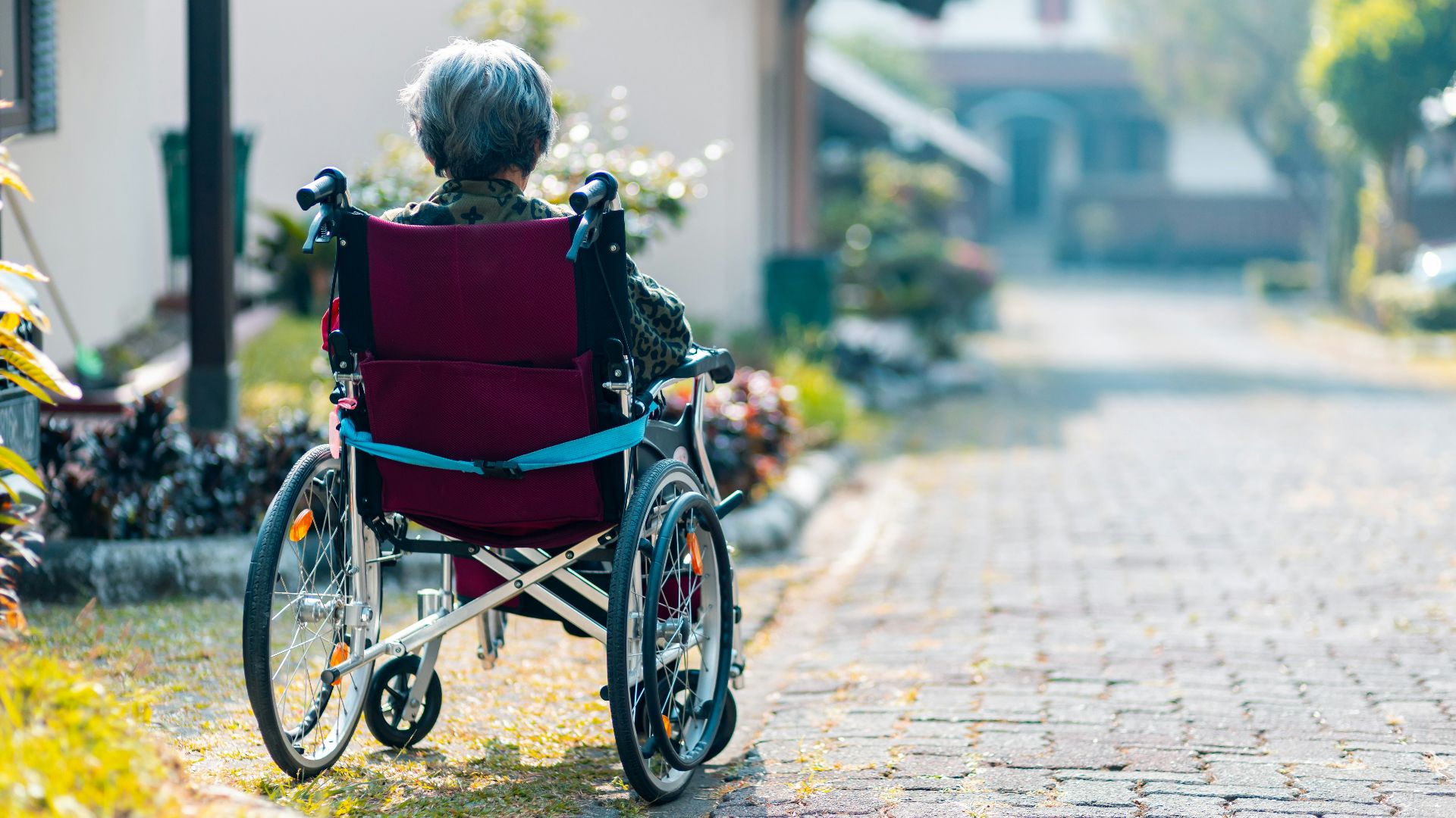 woman sitting on wheelchair