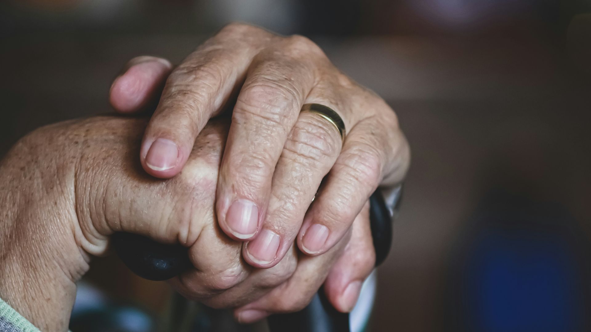 person holding black and silver microphone
