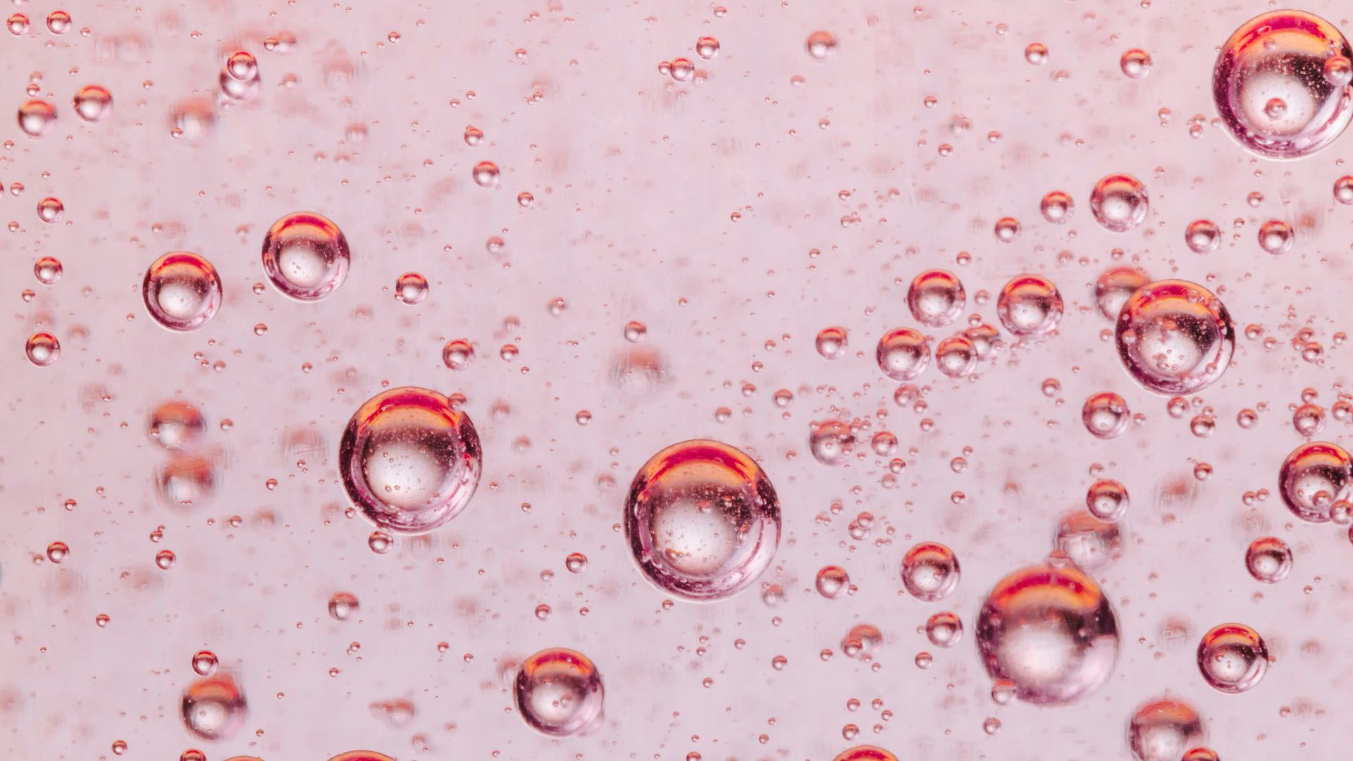 close-up photo of water drops