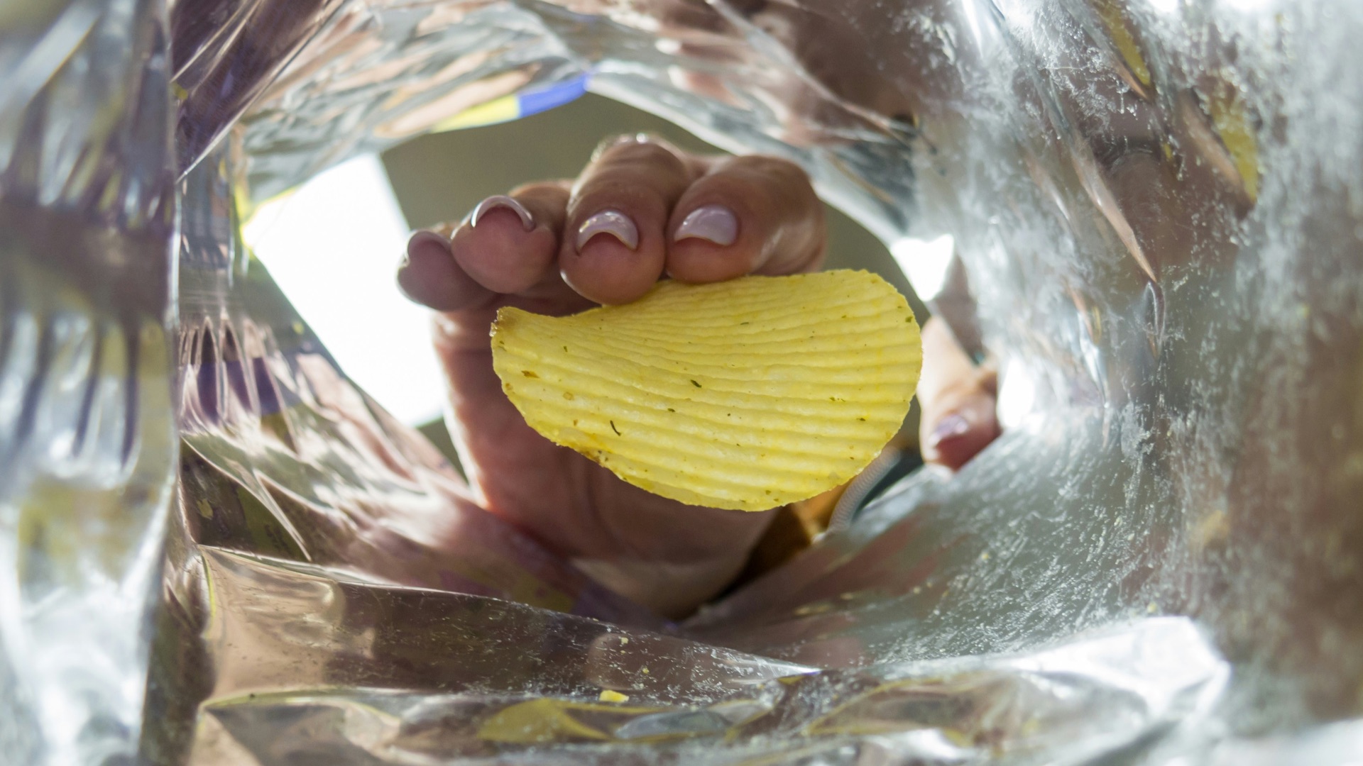 a person holding a piece of food in their hand