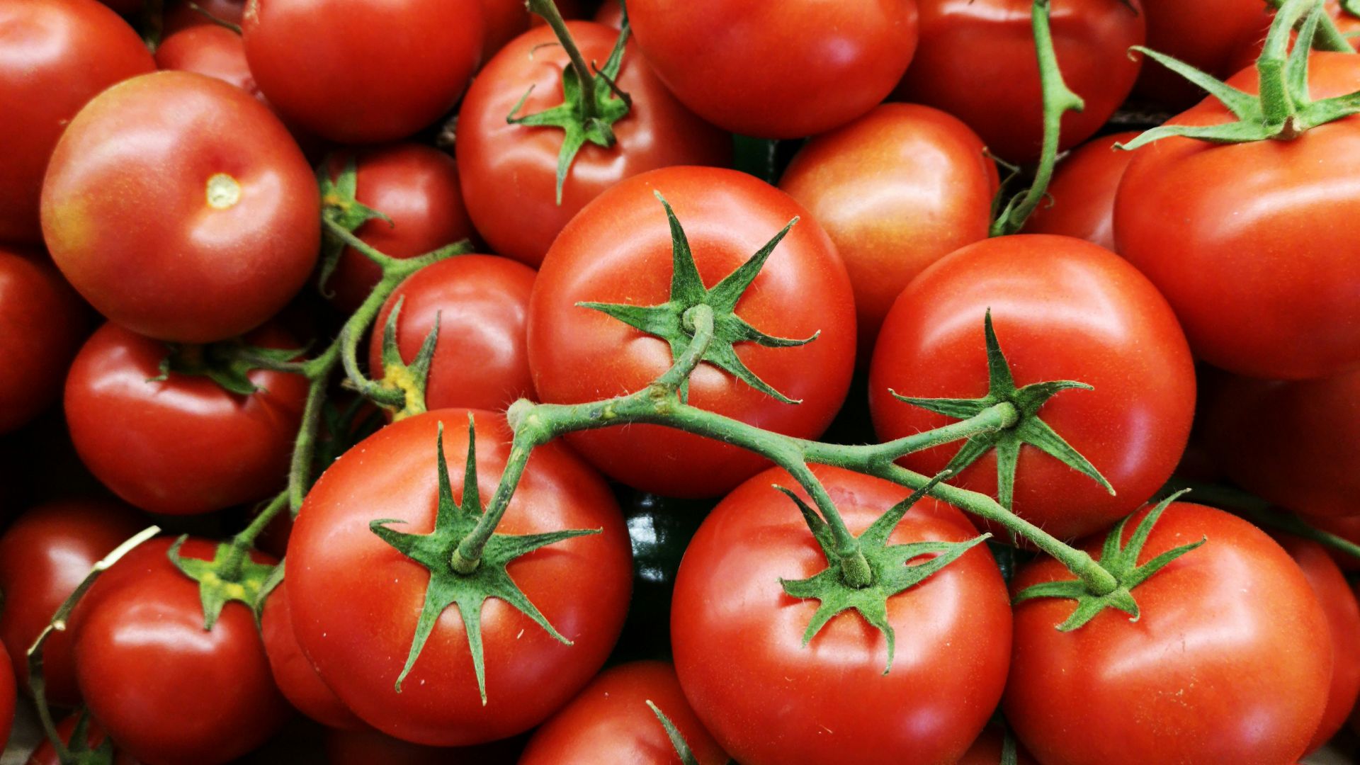 red tomatoes on brown wooden table