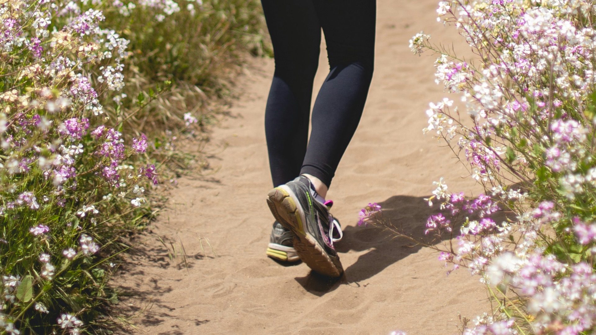 woman walking between flower fields