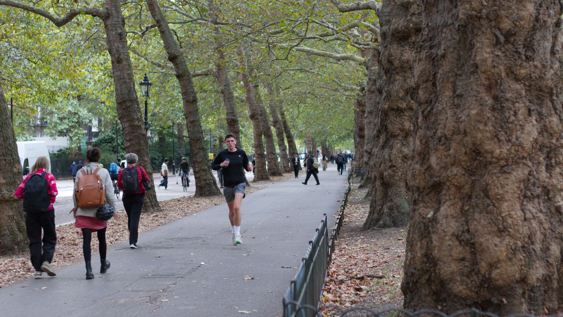 People walking and running on a tree-lined park path