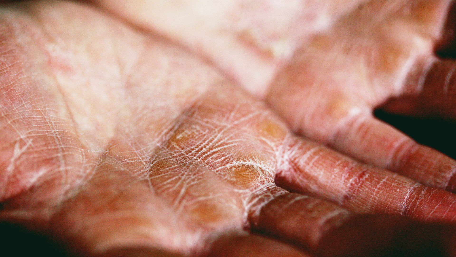 person holding brown and white textile