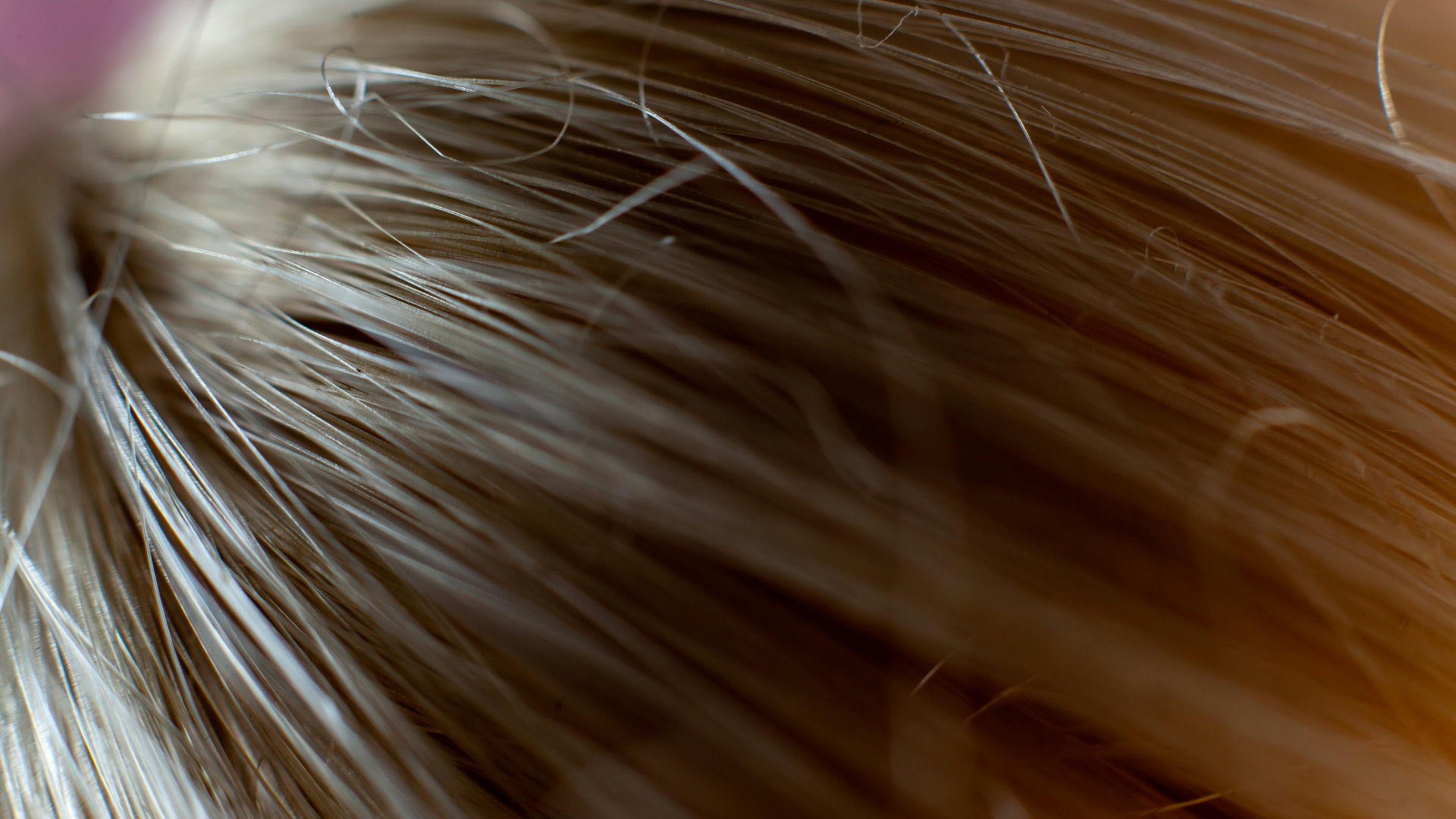 close up of a hair
