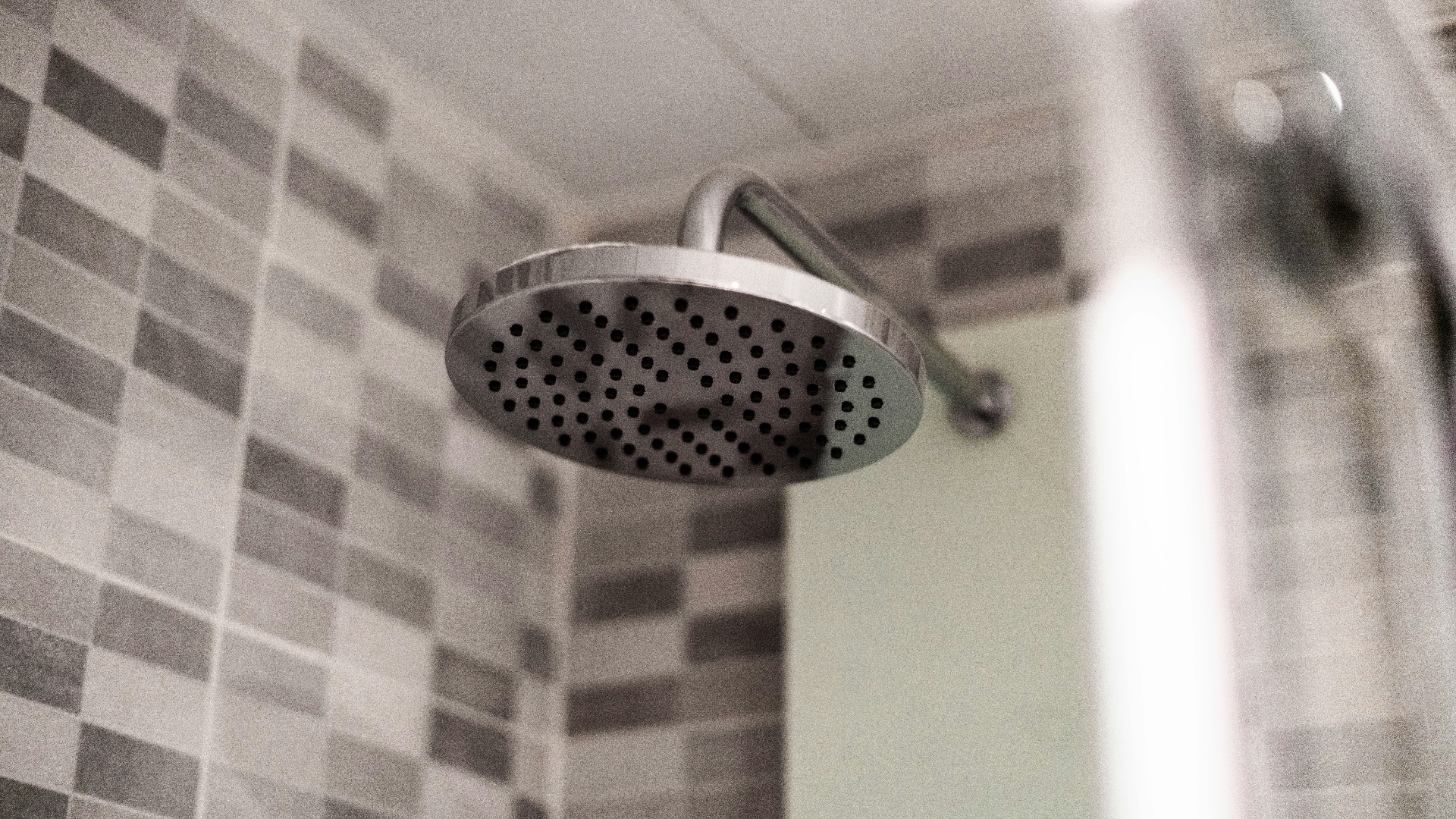 grey stainless steel shower head