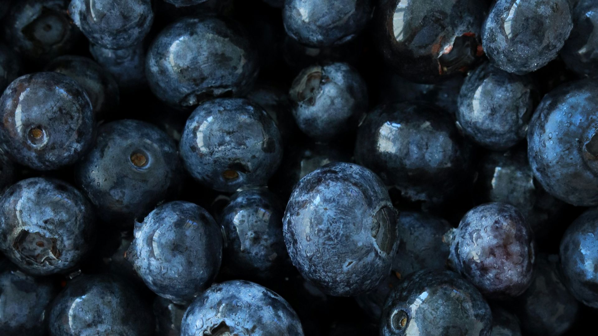 black round fruits on white background