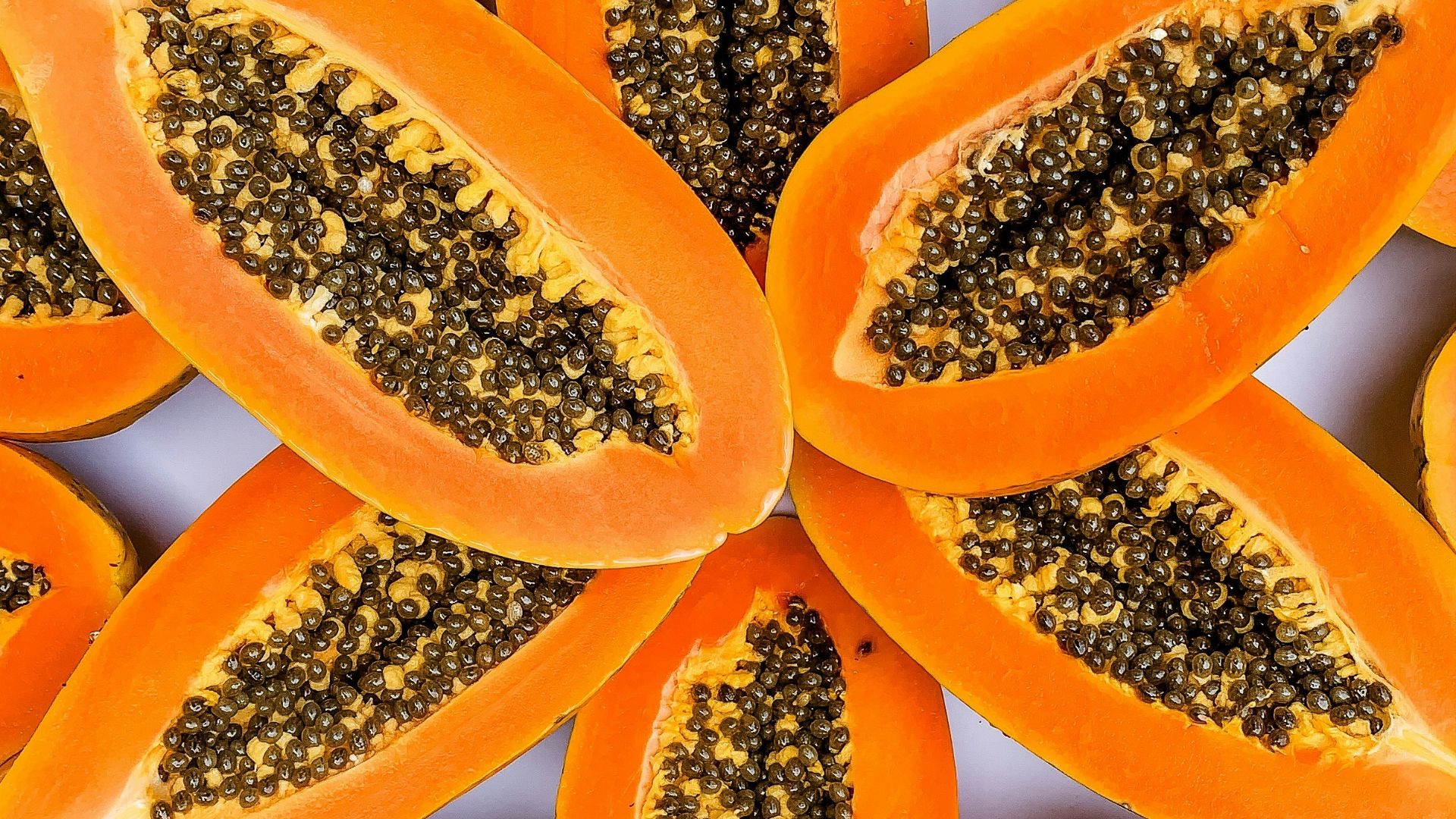 yellow and white flower petals