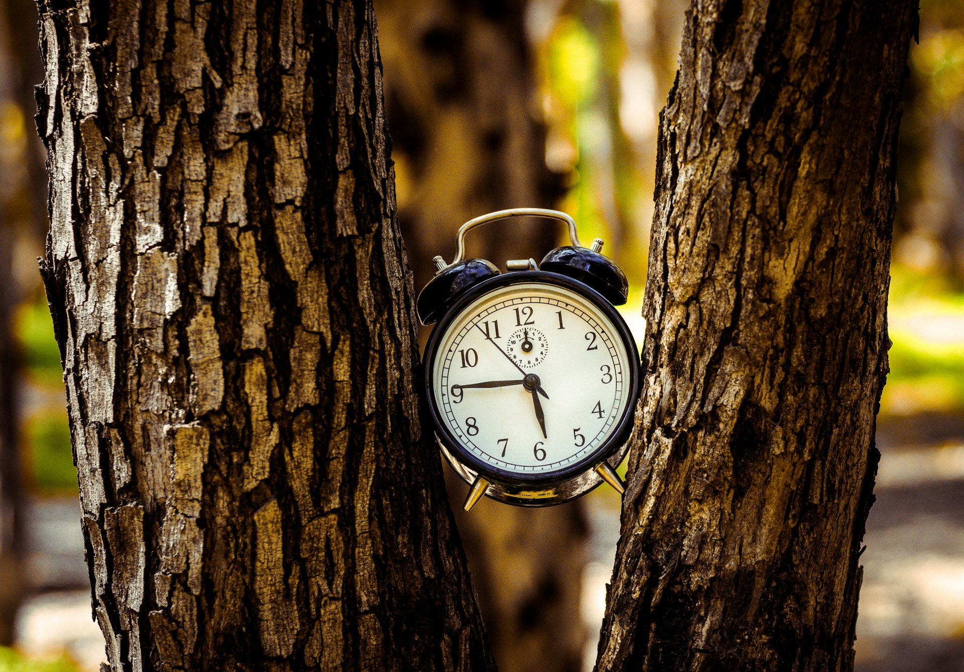 Yaniv-Knobel-2Yws62Tlata-Unsplash