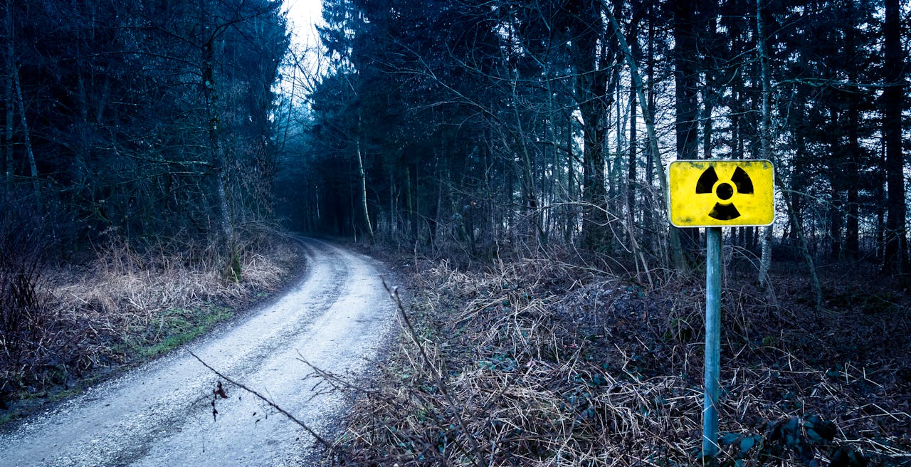 Pexels-Nejc-Kosir-108379-340926