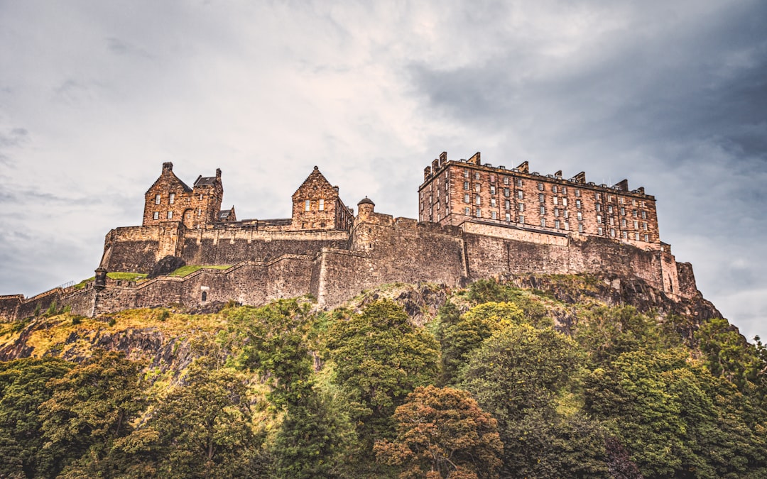 a castle on top of a hill surrounded by trees