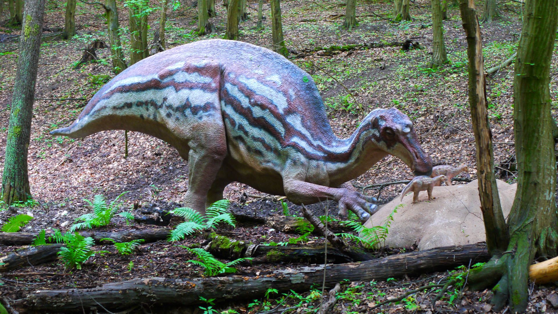 File:Maiasaura, DinoPark Košice.jpg