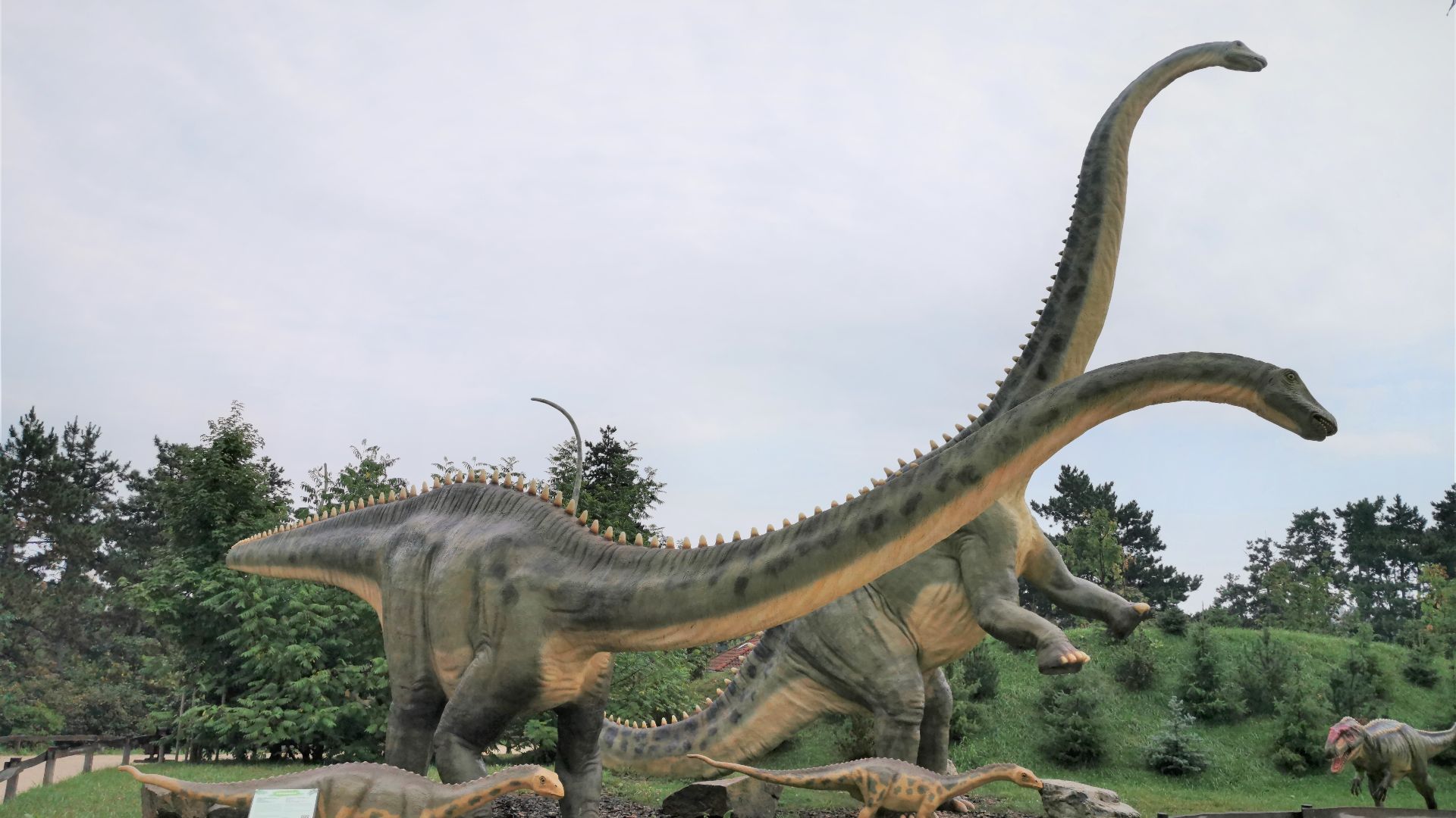 File:Diplodocus (2).jpg