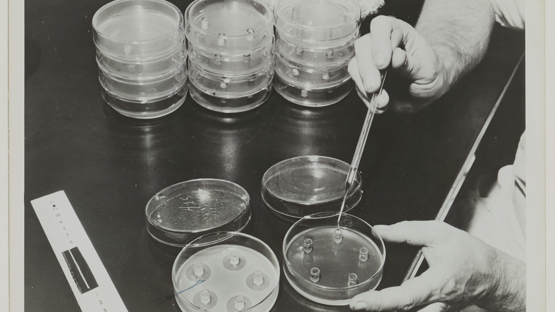 File:Photographie La fabrication du premier antibiotique, la pénicilline - Archives nationales - 19900512-29.jpg