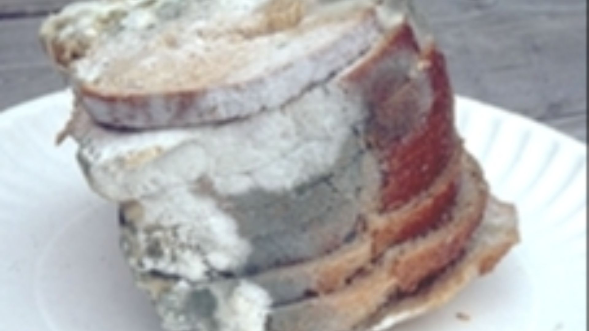 File:Mouldy bread alt.jpg