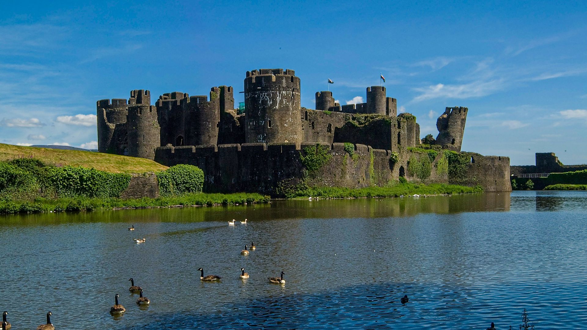 a group of ducks floating on top of a lake next to a castle
