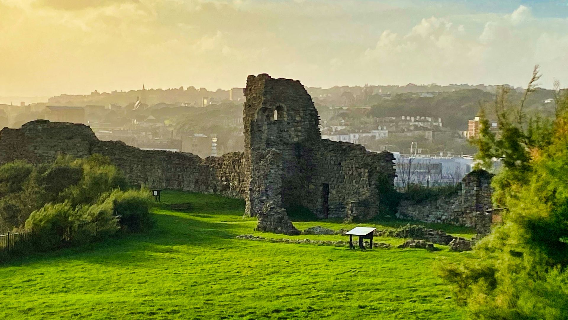 a grassy field with a castle in the background