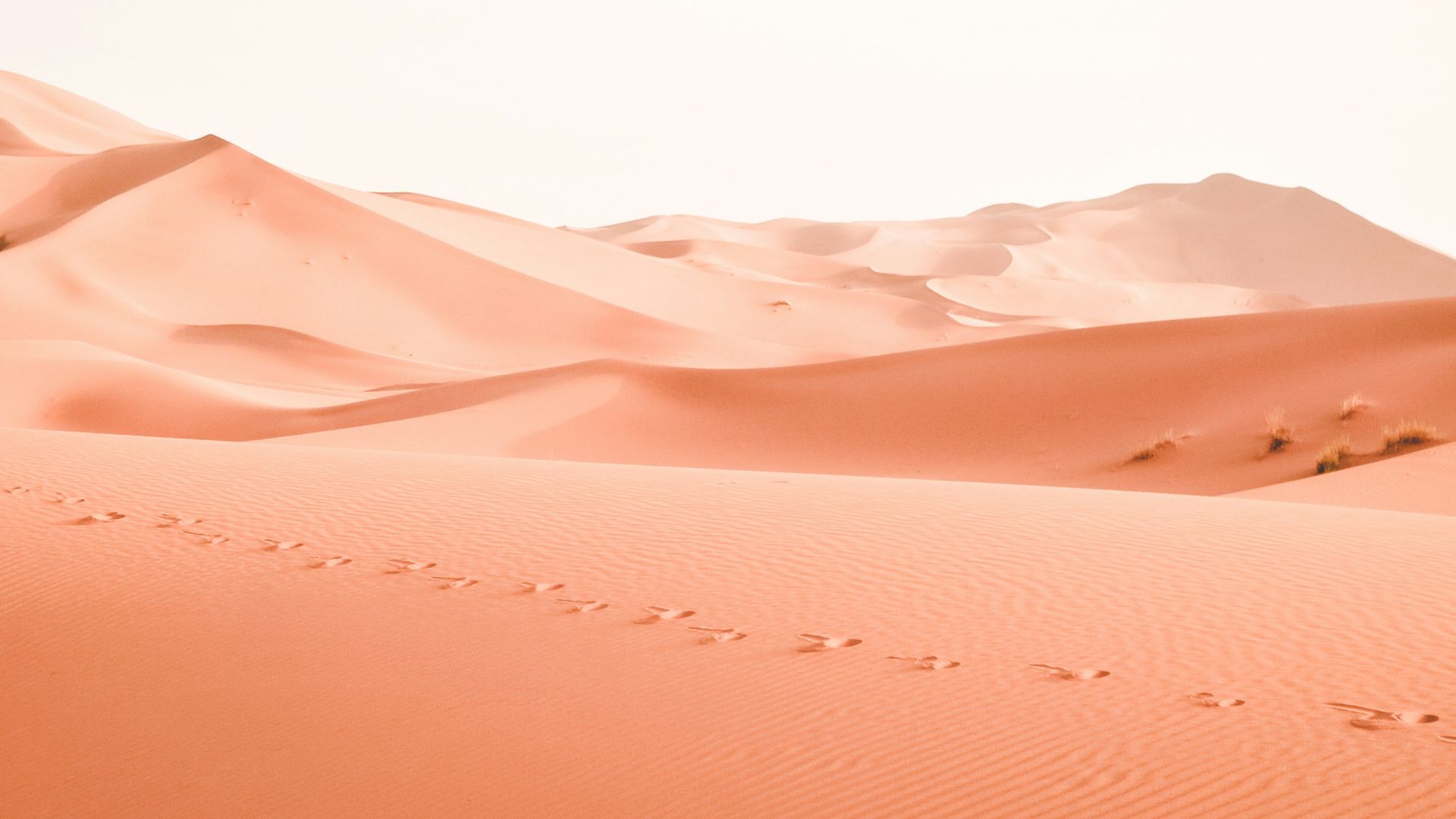 landscape photography of dessert