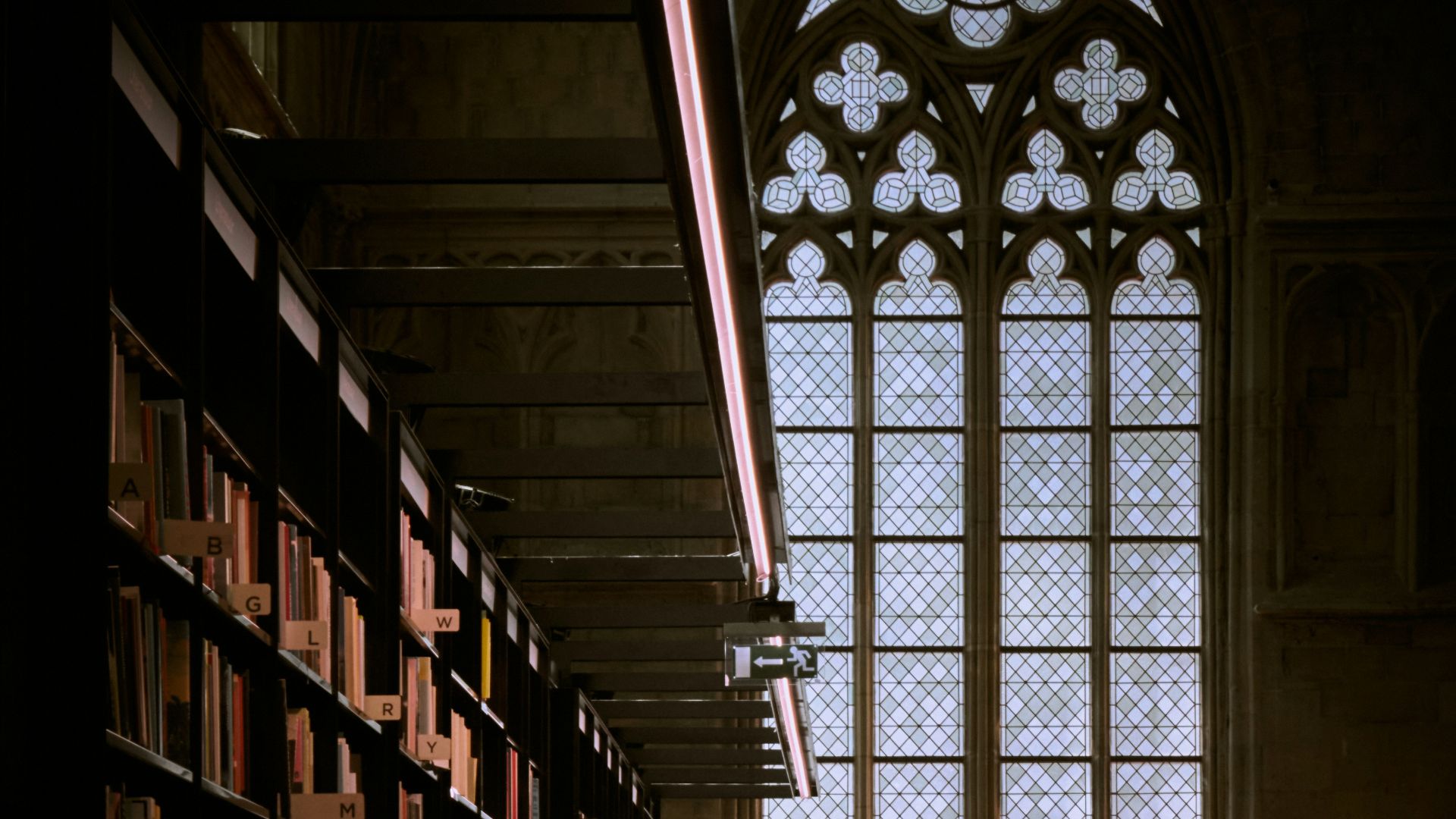 a library with books on shelves