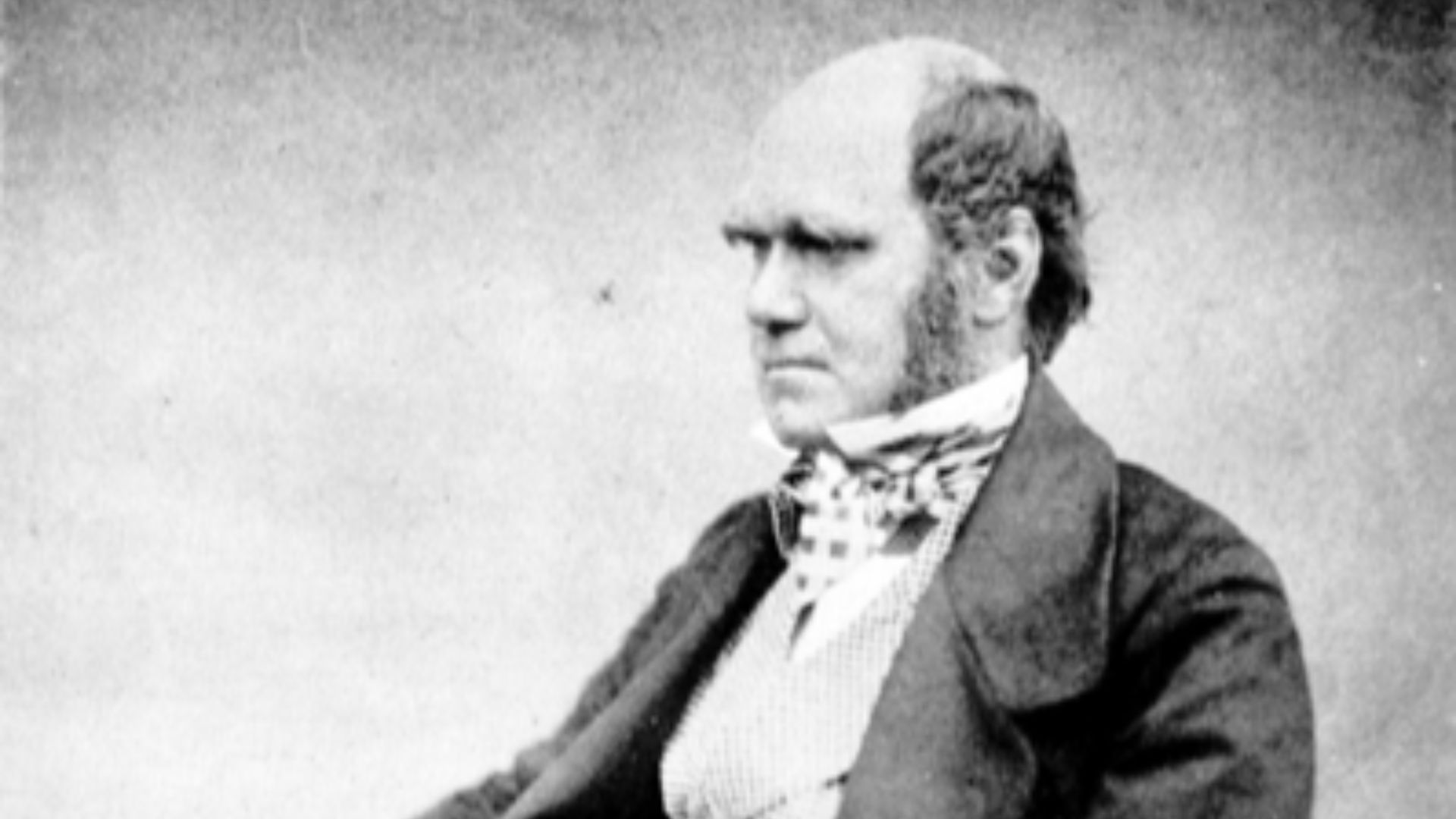 File:Charles Darwin aged 51.jpg