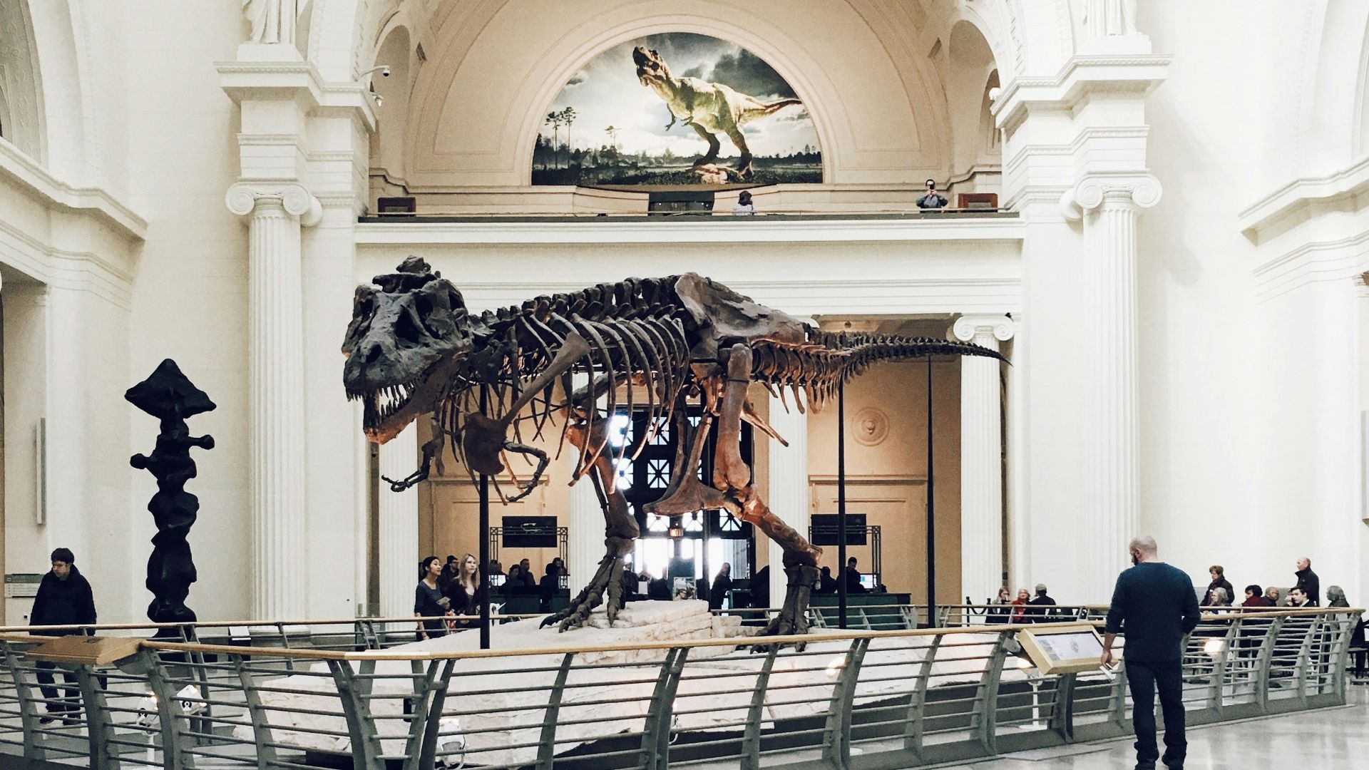 people inside dinosaur fossil museum during daytime