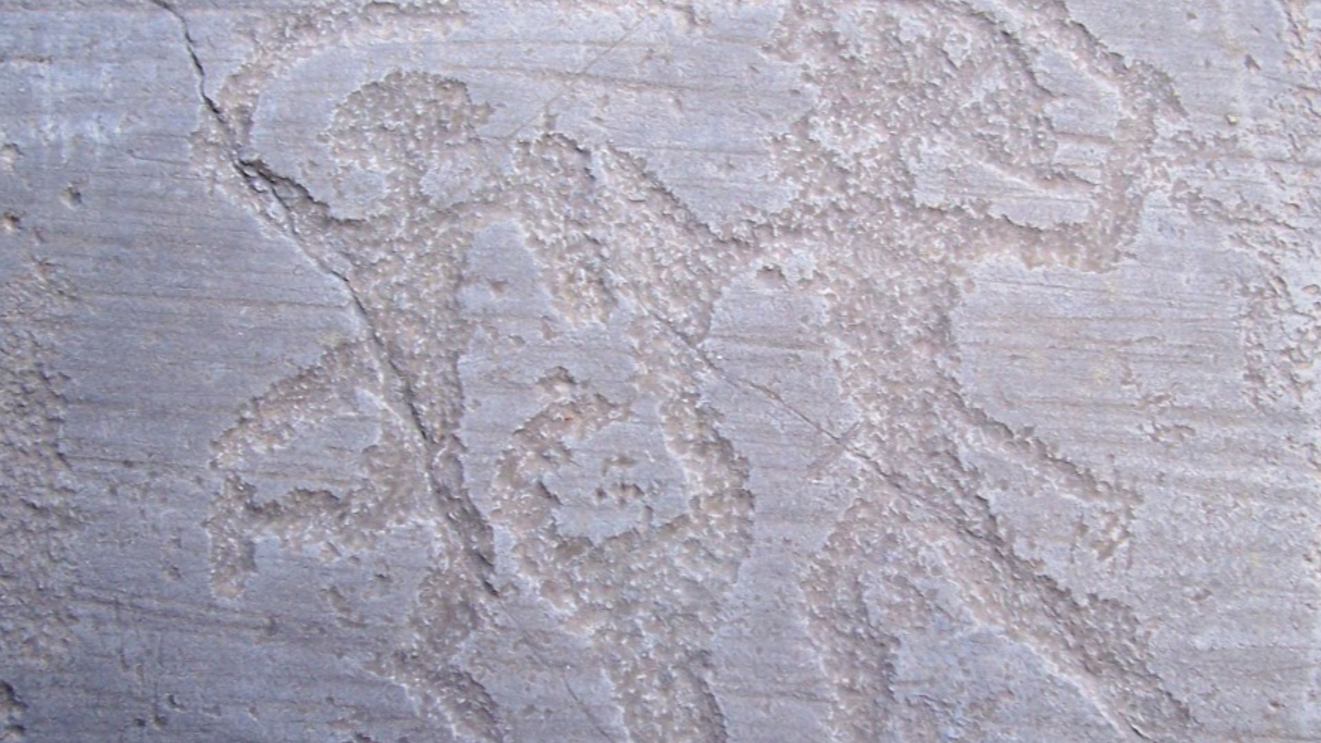 File:Scena di duello R6 - Foppe - Nadro (Foto Luca Giarelli).jpg