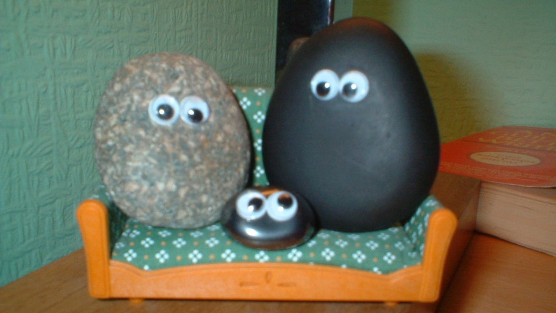File:Pet rock.jpg