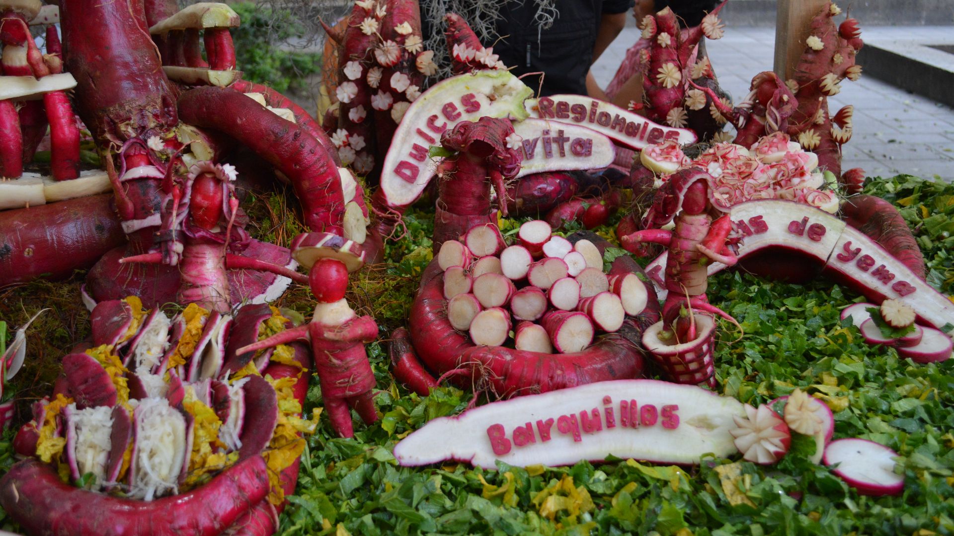 File:Rabanos2014 068.JPG