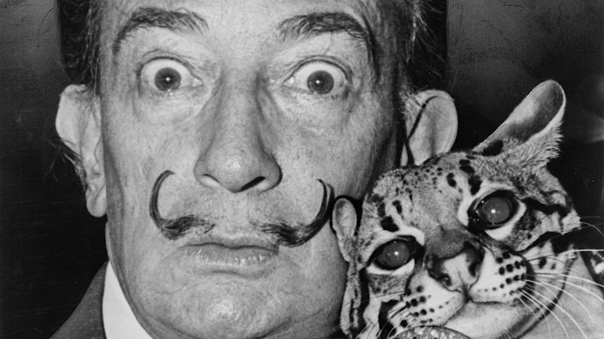 File:Salvador Dali NYWTS.jpg