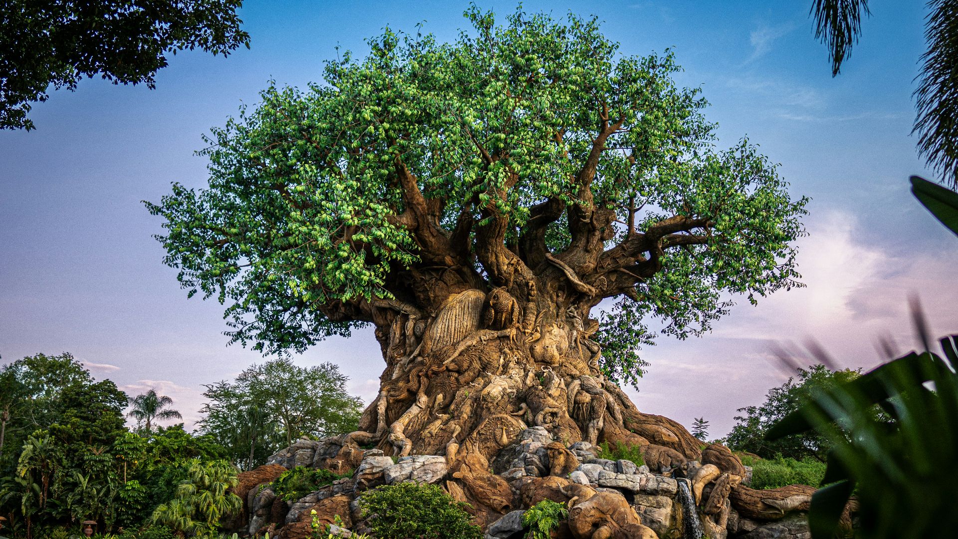 the tree of life at disney's animal kingdom
