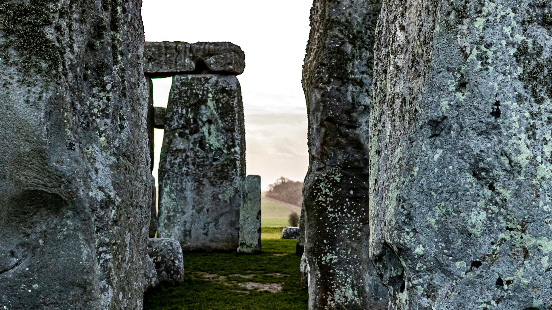 gray rock formation on green grass field during daytime
