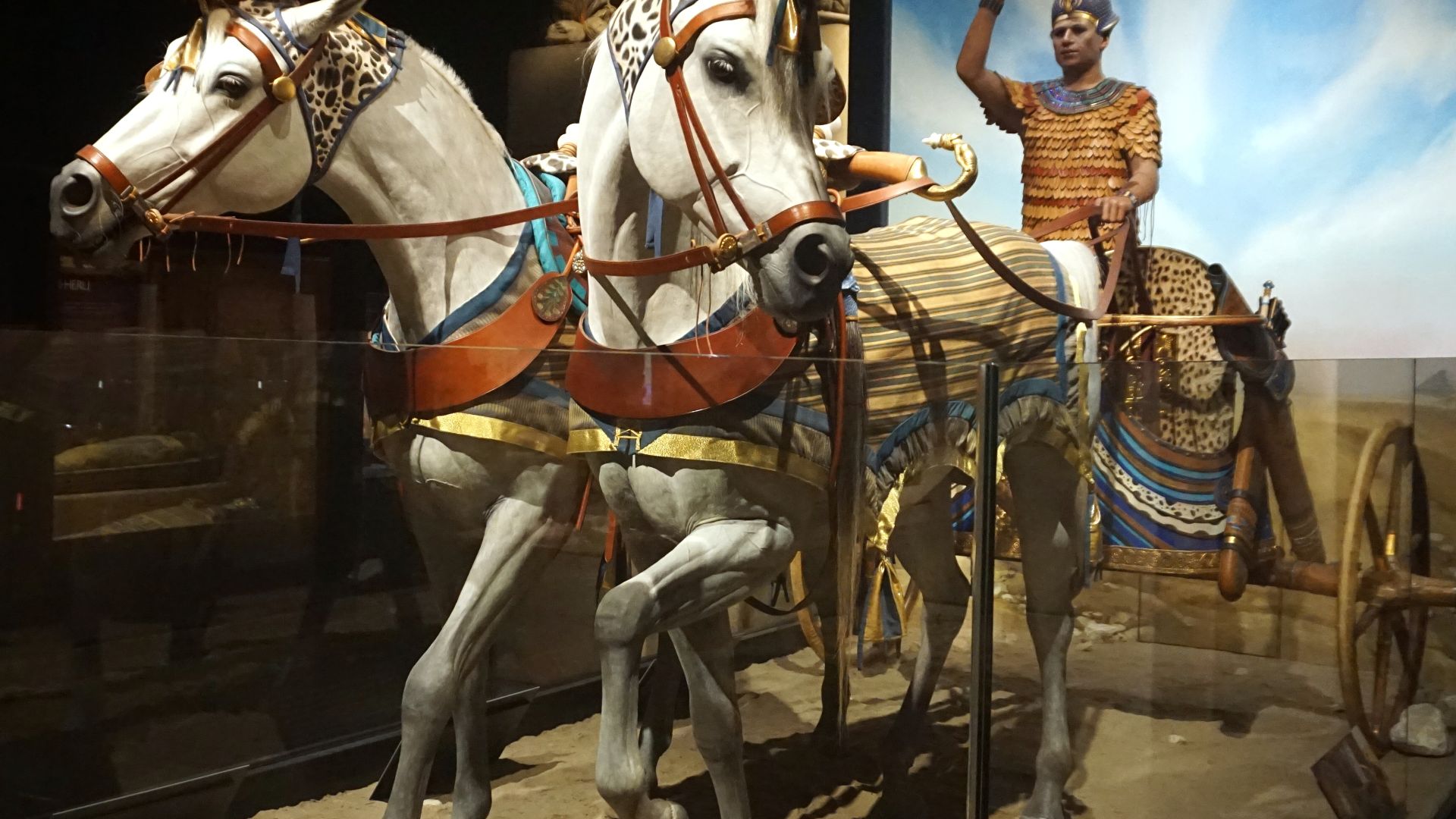 File:Milwaukee Public Museum December 2022 25 (Crossroads of Civilization--Tutankhamun Driving a Chariot replica).jpg