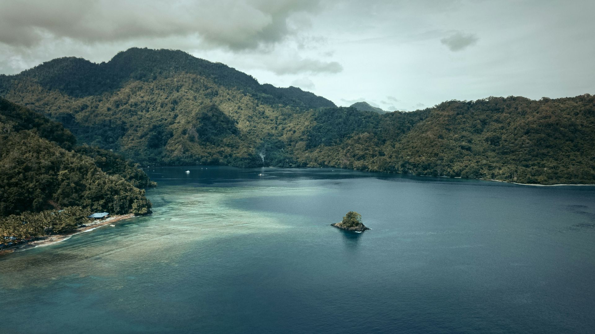 green trees on island surrounded by water during daytime