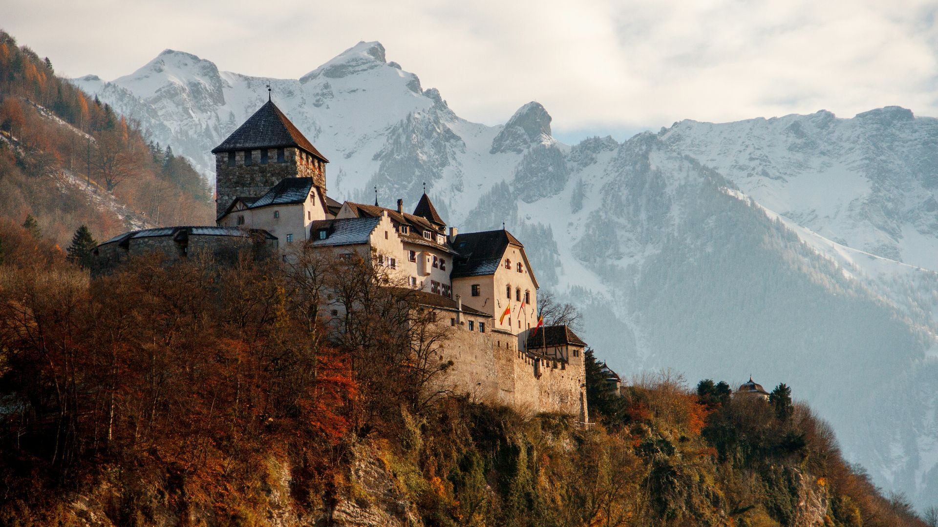 castle on mountain surrounded by trees