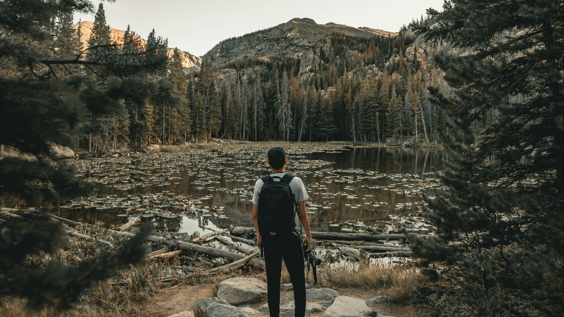 man wearing black backpack standing beside trees