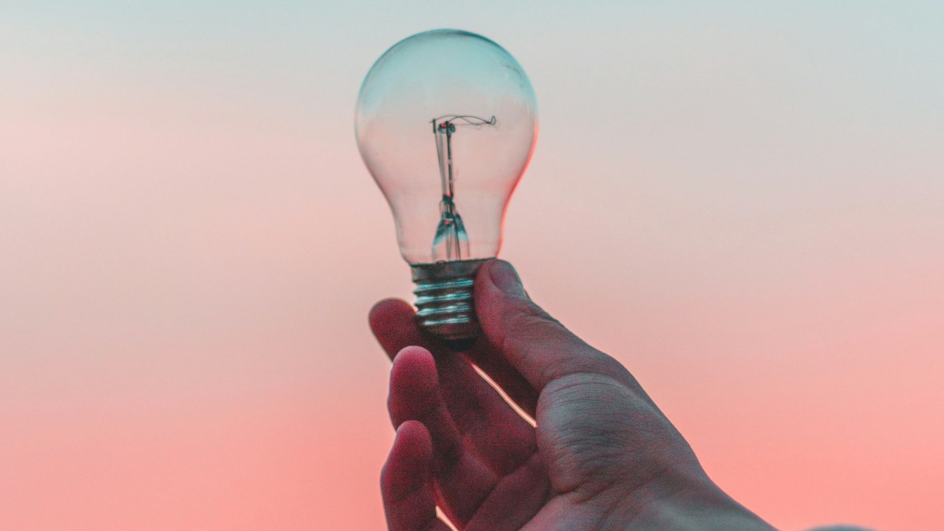 person holding light bulb