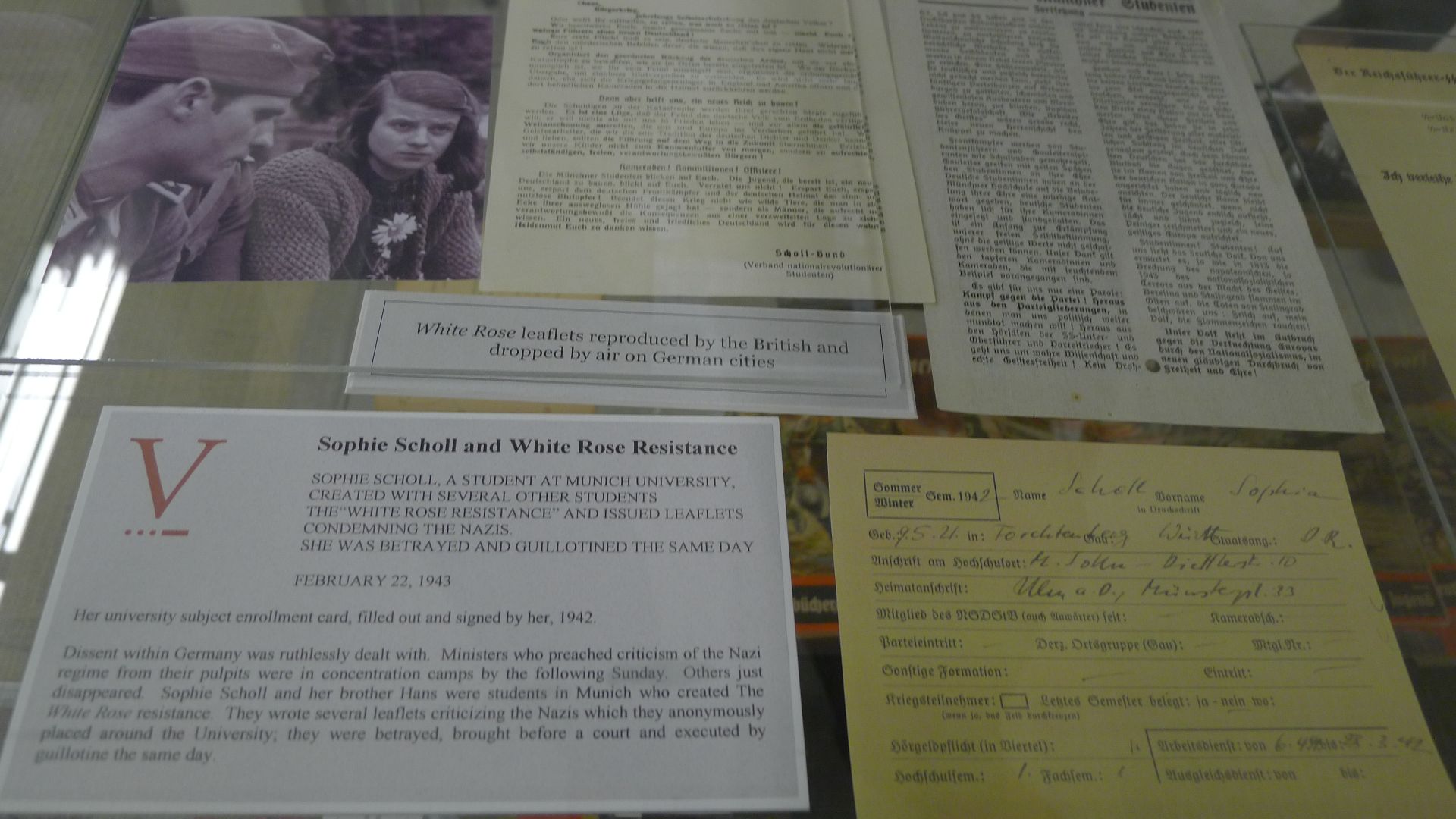 File:Museum of World War II Natick Massachusetts 2015. Third Reich memorabilia collectables etc Sophie Scholl (White Rose Resistance) university subject enrollment card 1943.jpg