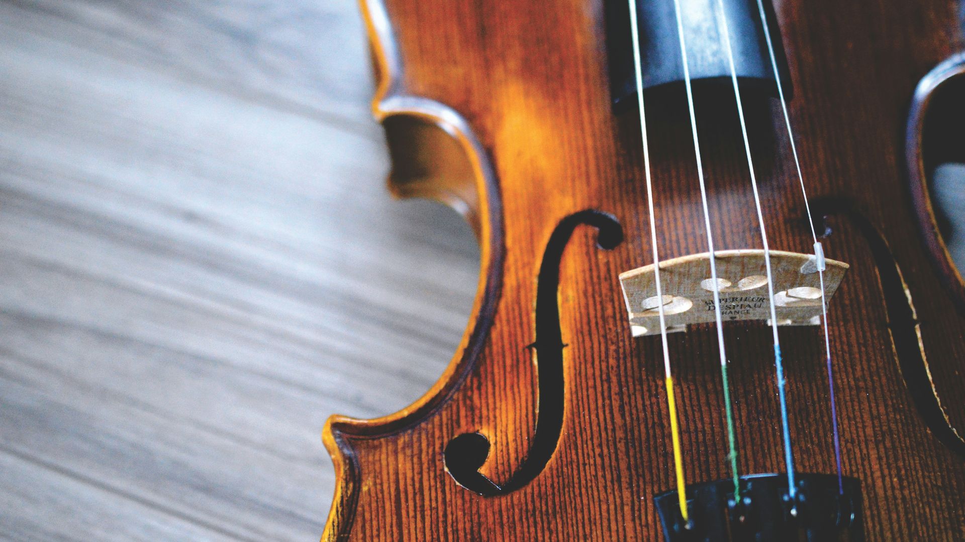 brown and black violin