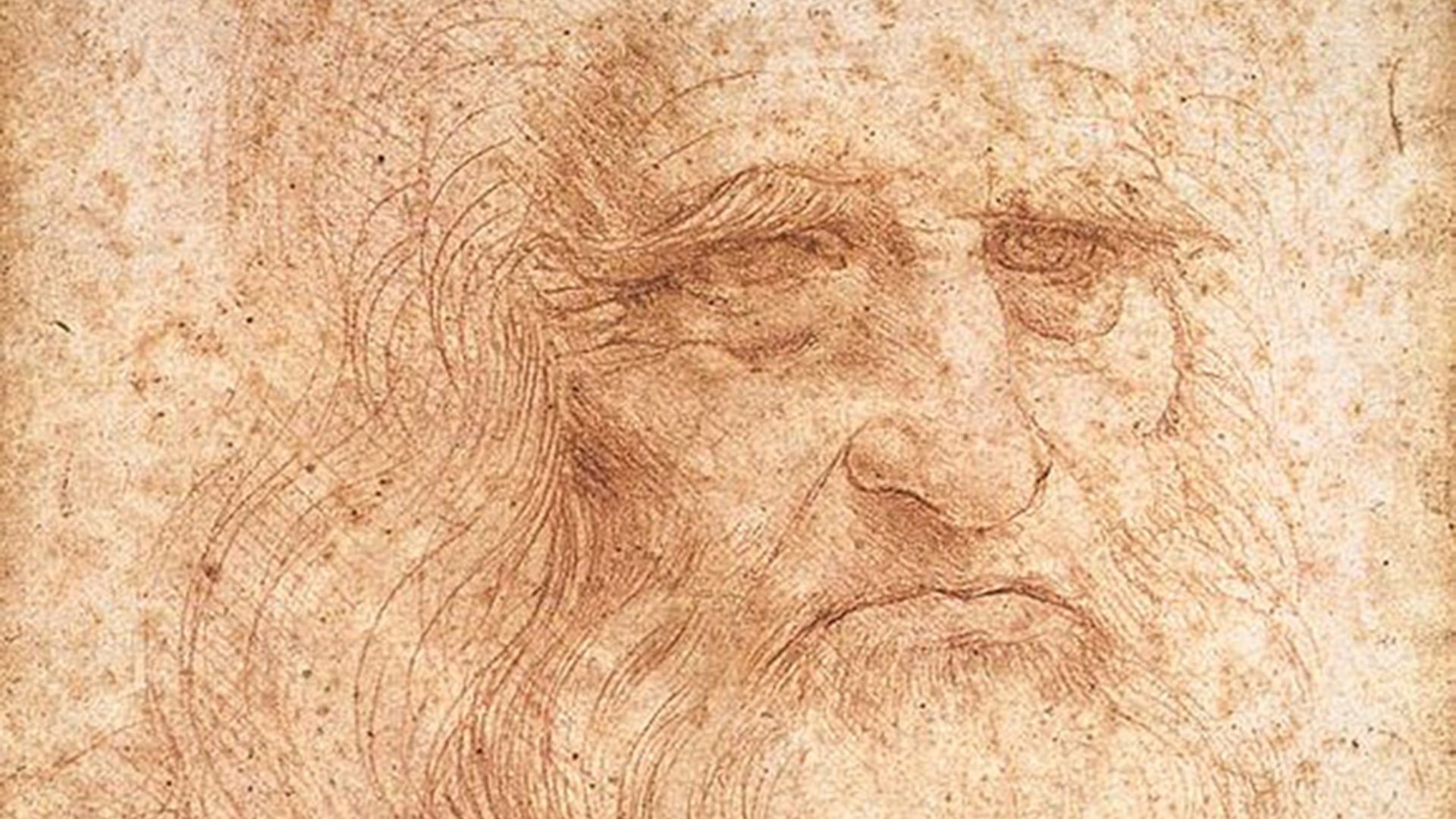 File:Leonardo da Vinci - presumed self-portrait - WGA12798.jpg