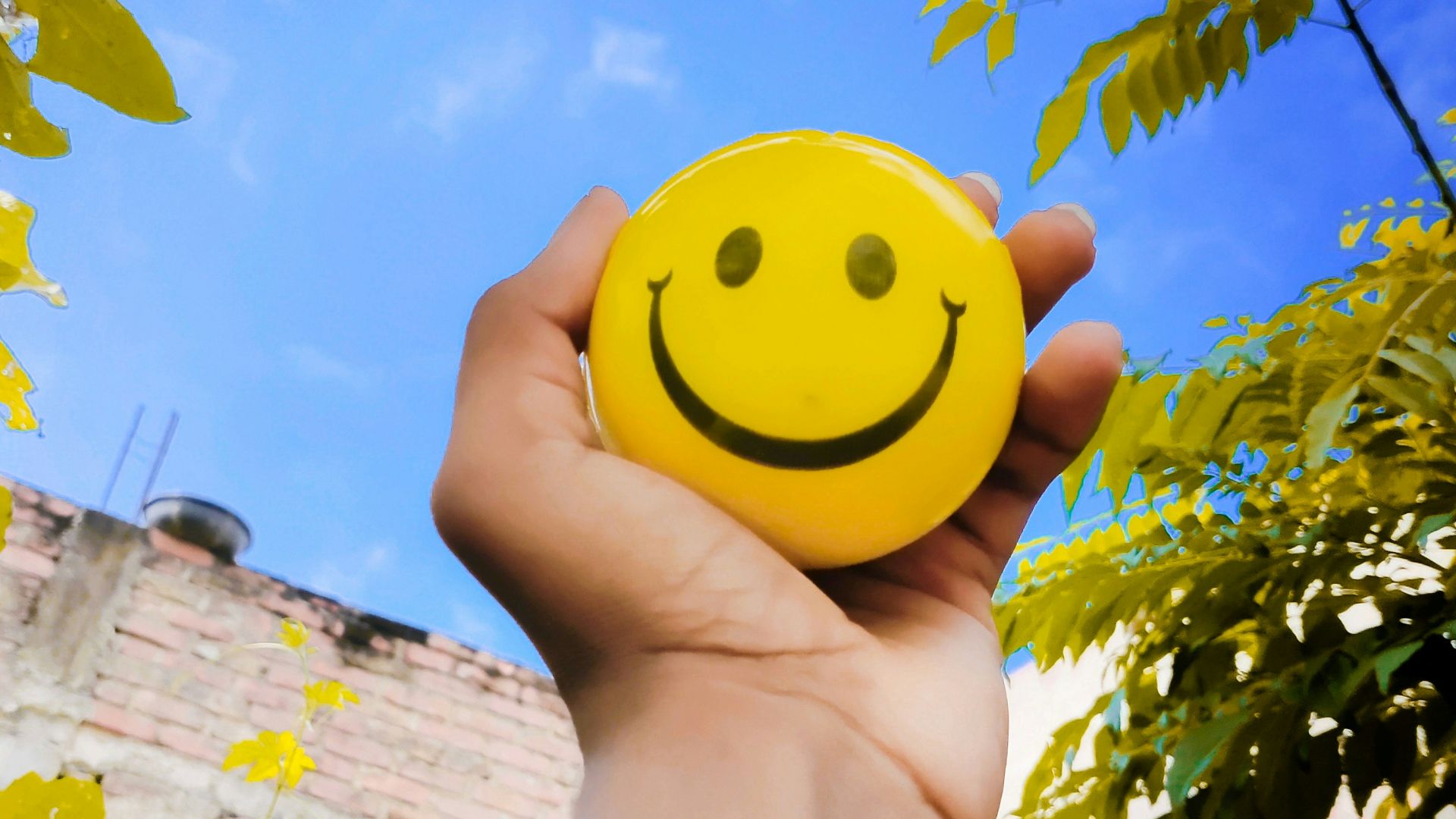 a hand holding a yellow smiley face ball