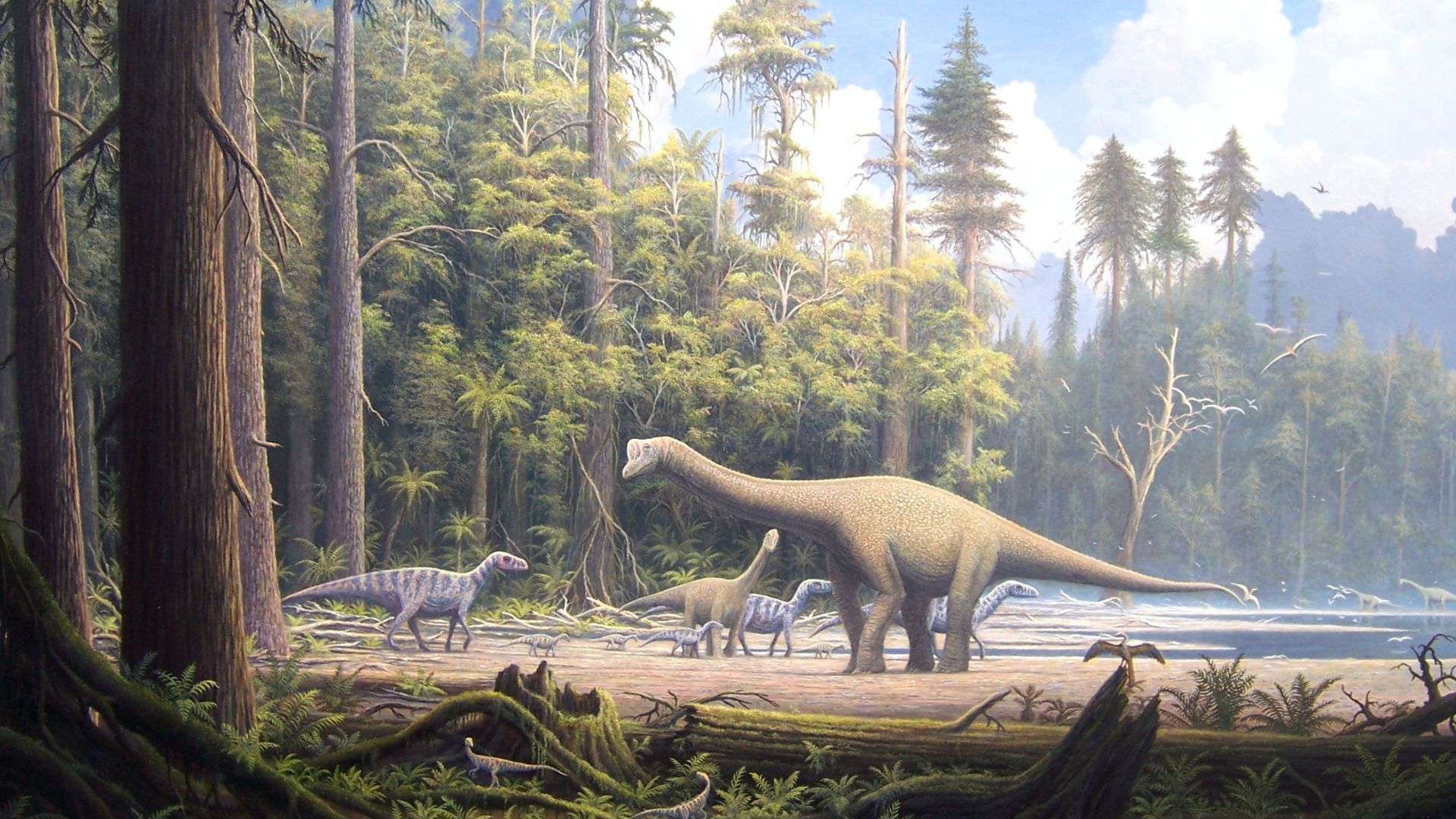 File:Europasaurus holgeri Scene 2.jpg