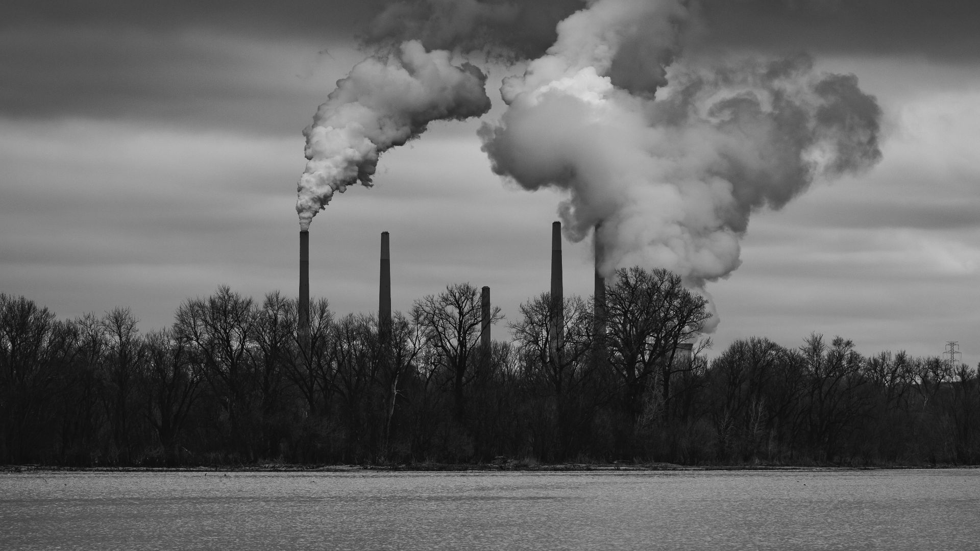 grayscale photo of trees near body of water under cloudy sky
